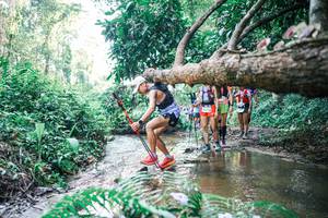 BIB: 
                            <button type="button" onclick="openModal(25464590)" class="btn btn-primary btn-sm float-right btn-popup" data-toggle="modal" data-target=".modal-high-quality">
                        <i class="fas fa-shopping-cart"></i> Add to Cart
                    </button>
                                            <button type="button" onclick="isThisMe(25464590, true)" class="btn btn-success btn-sm float-right btn-popup btn-isme hidden" data-toggle="tooltip" data-placement="bottom" title="นี่คือรูปของคุณใช่ไหม คลิกที่นี่เพื่อเอาเข้าอัลบั้ม">
                        <i class="fas fa-plus"></i> Add to album
                    </button>
                    <button type="button" onclick="isThisMe(25464590, false)" class="btn btn-warning btn-sm float-right btn-popup btn-isnotme hidden">
                        <i class="fas fa-ban"></i> Remove from album
                    </button>